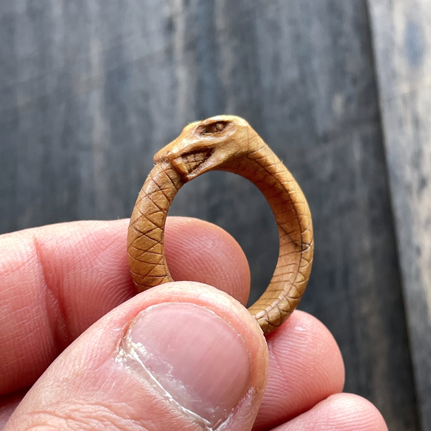 Anello serpente Uroboro