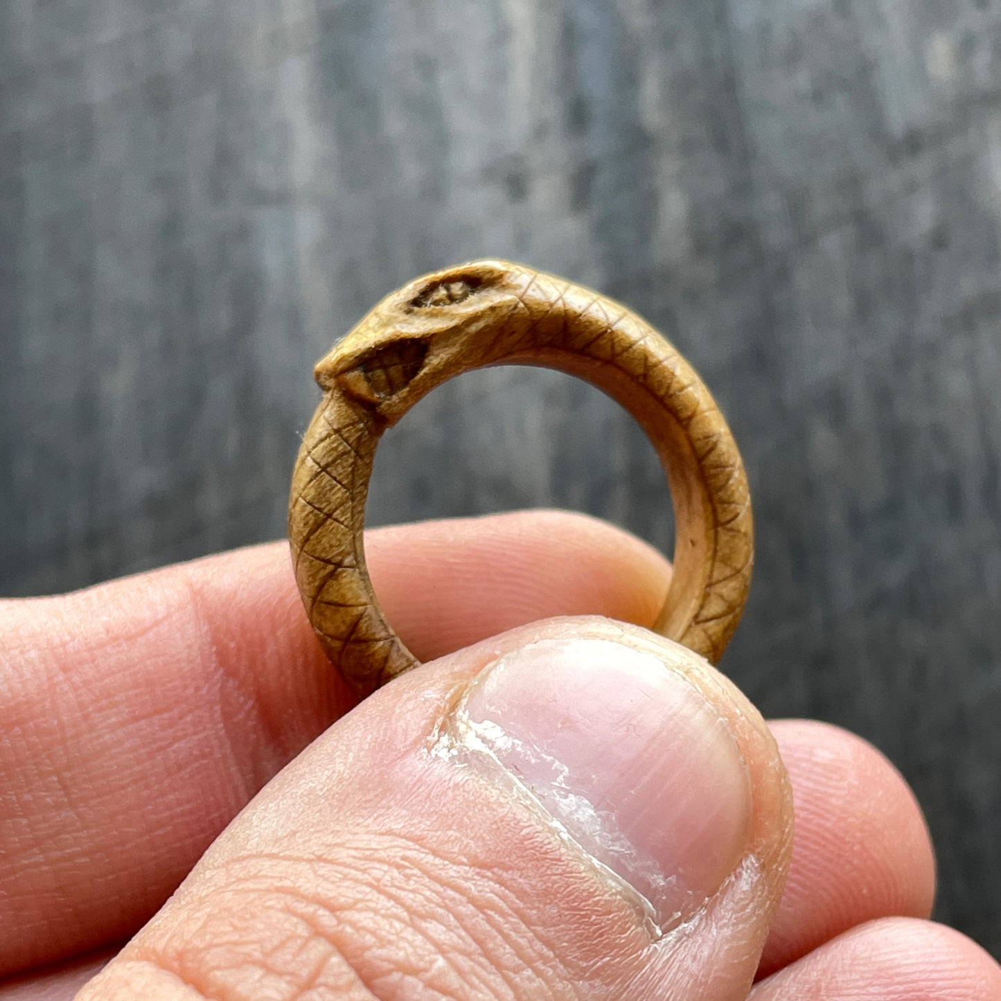 Anello serpente Uroboro