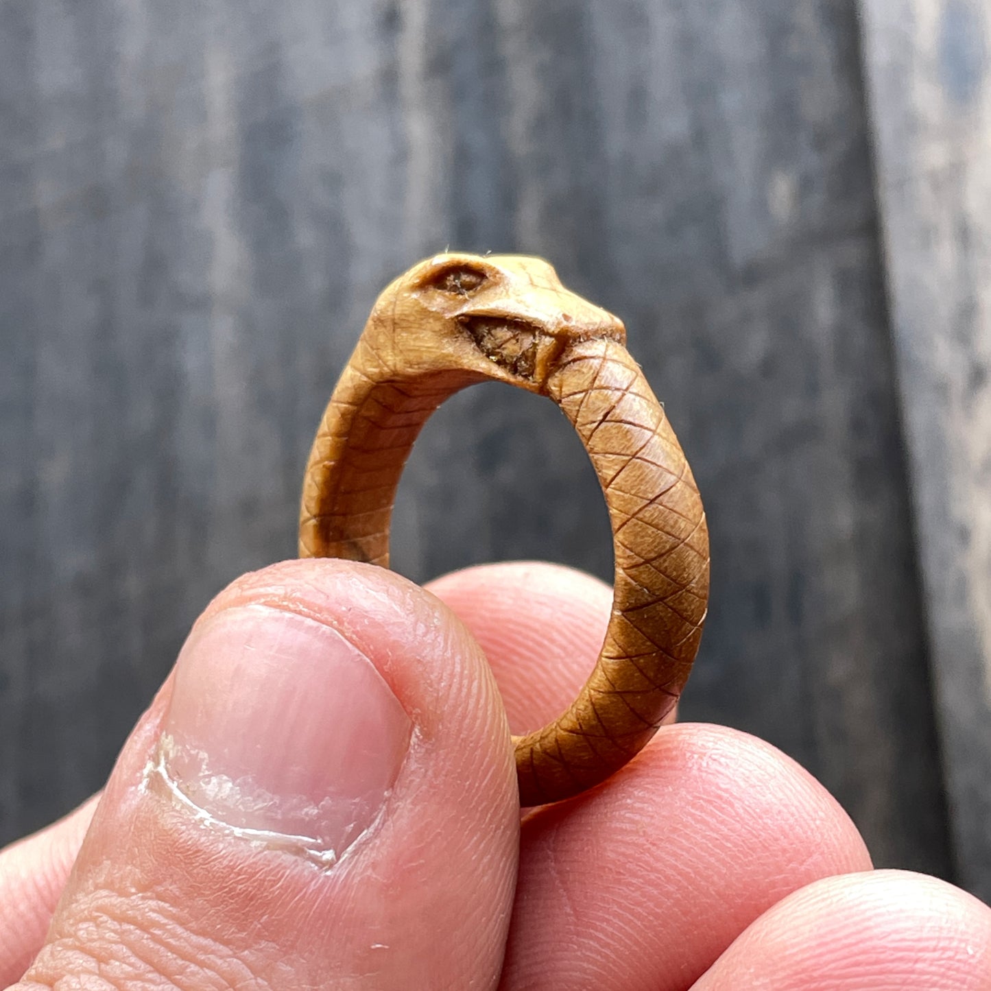 Anello serpente Uroboro