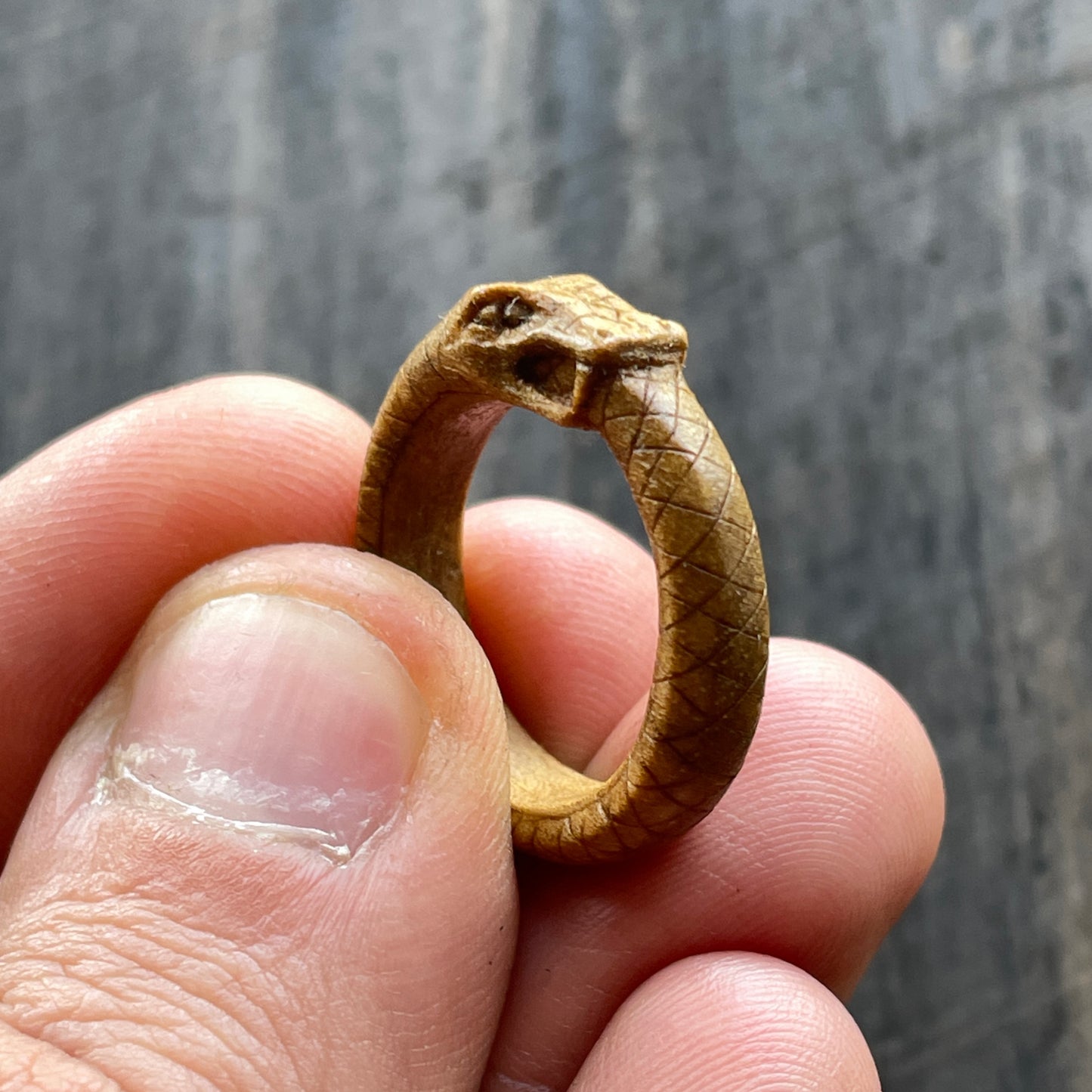 Anello serpente Uroboro