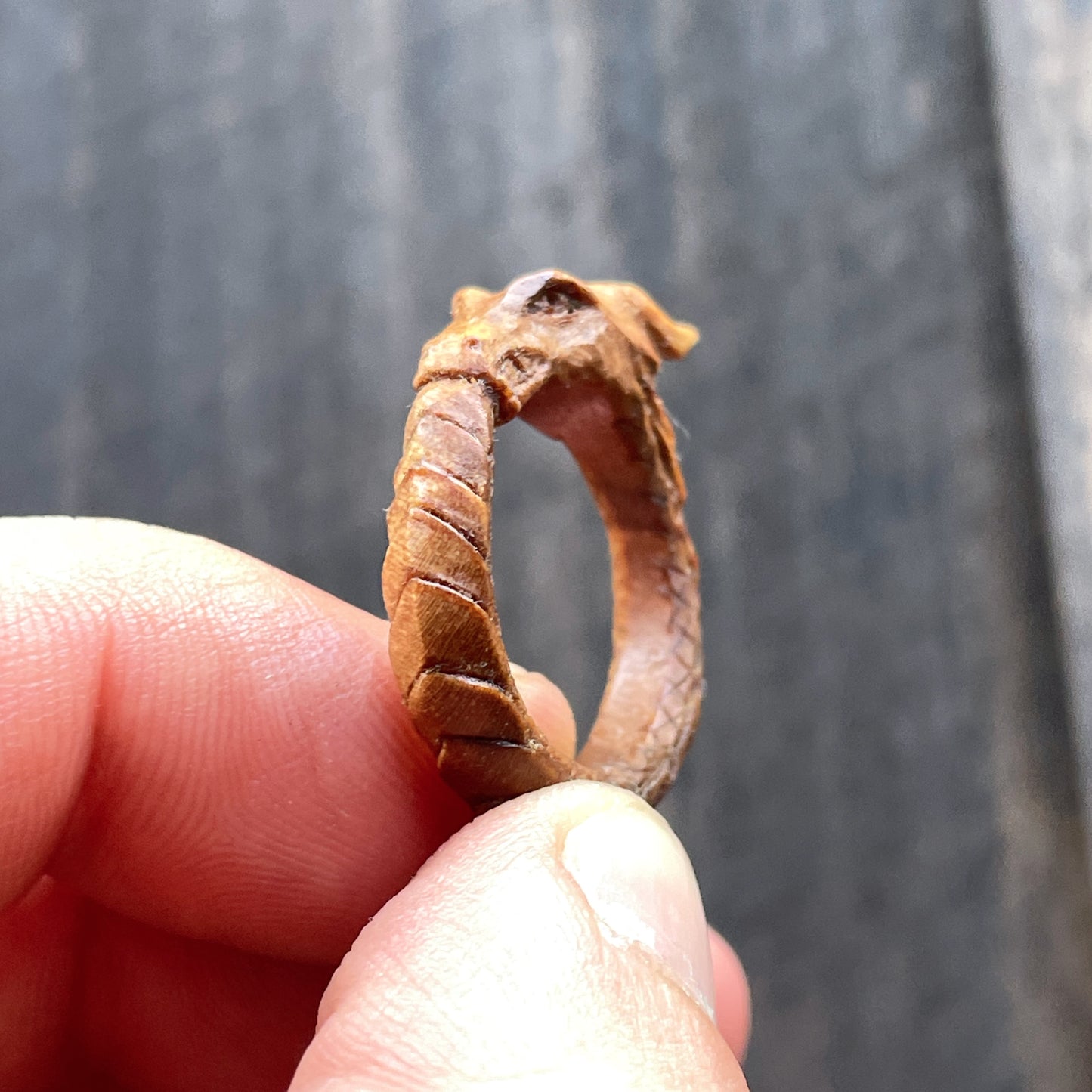 Ouroboros Dragon Ring