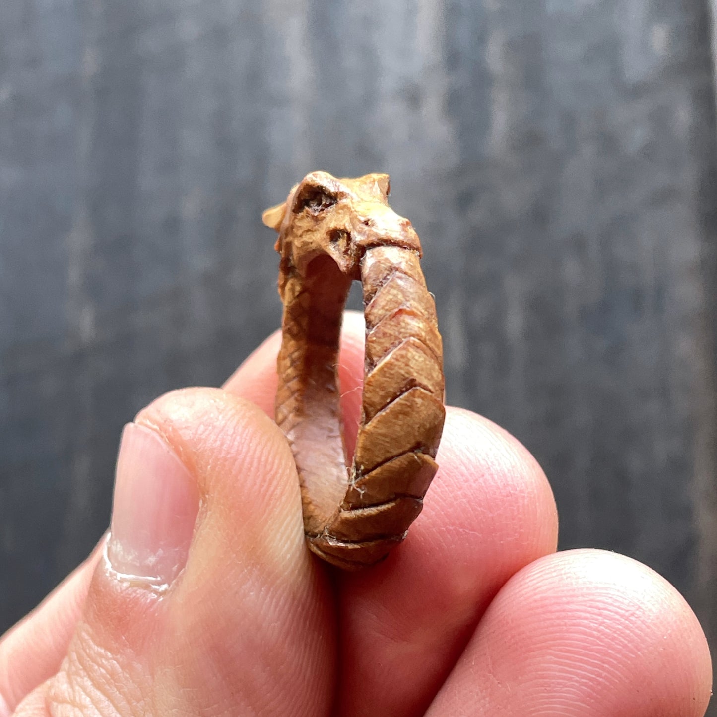 Ouroboros Dragon Ring