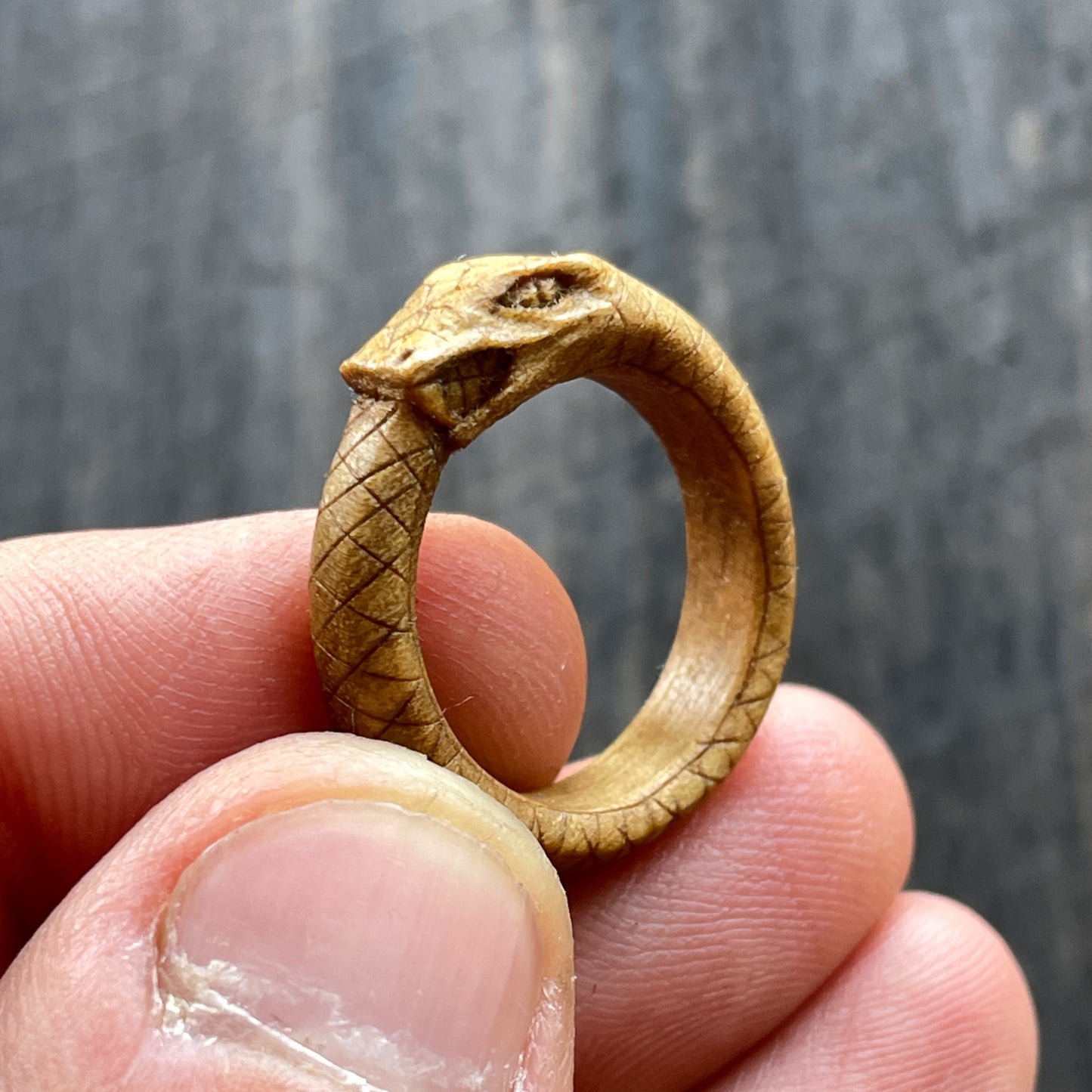 Anello serpente Uroboro
