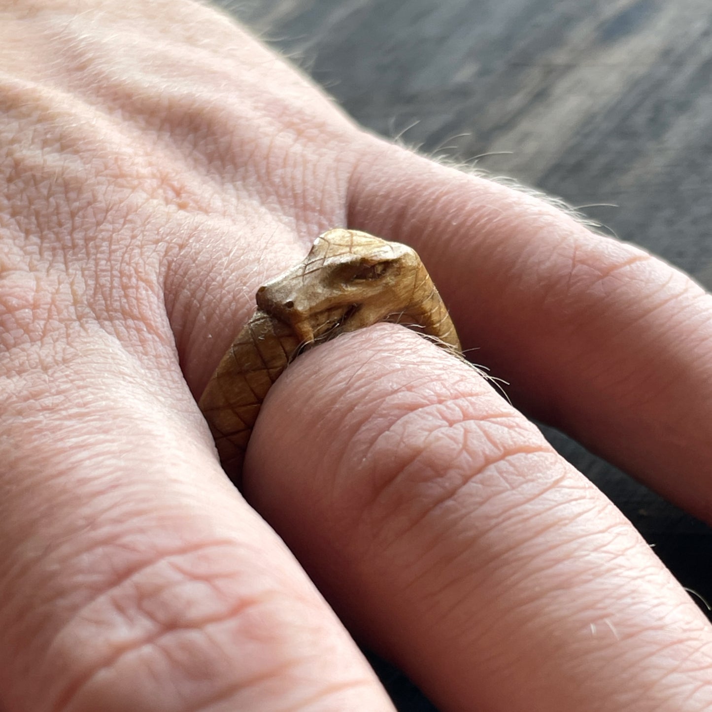 Anello serpente Uroboro