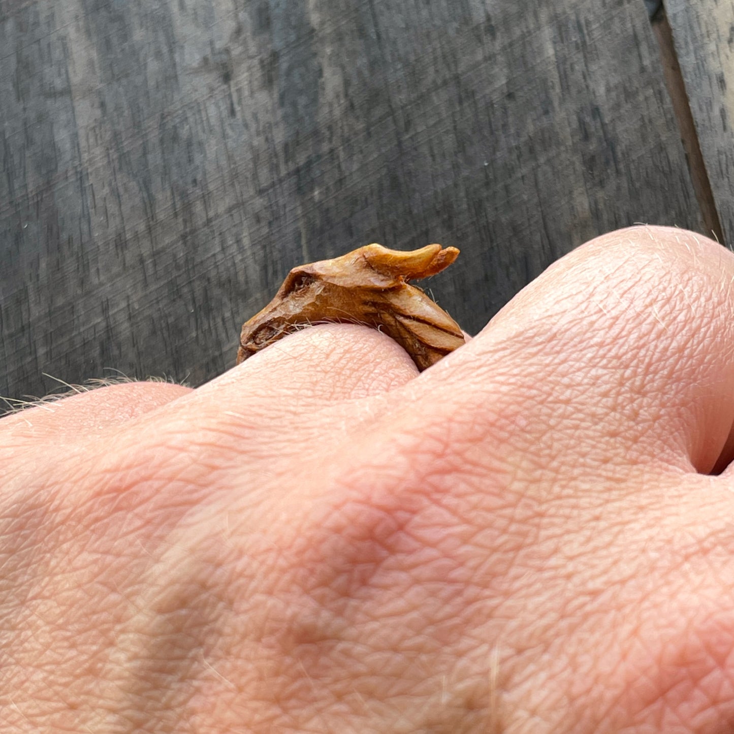 Ouroboros Dragon Ring