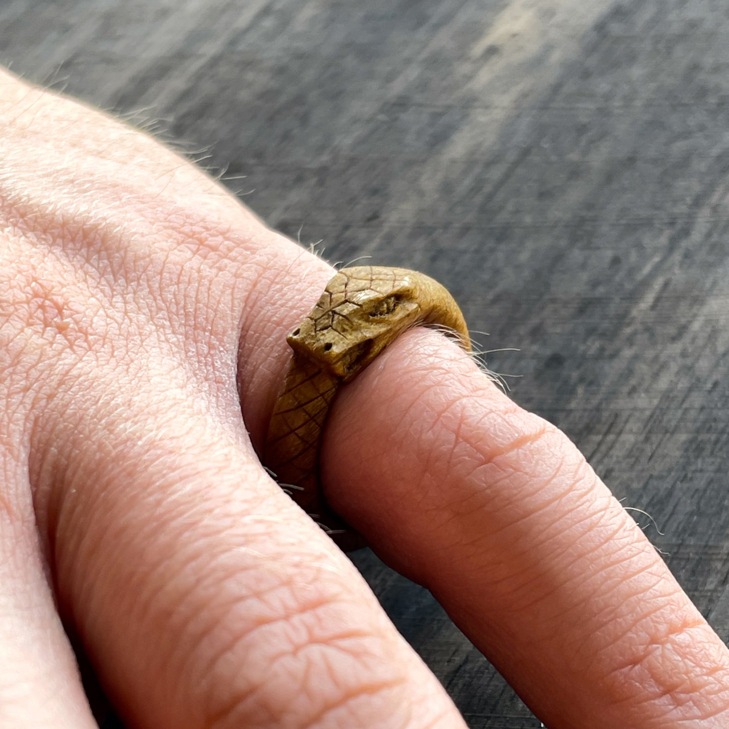 Anello serpente Uroboro
