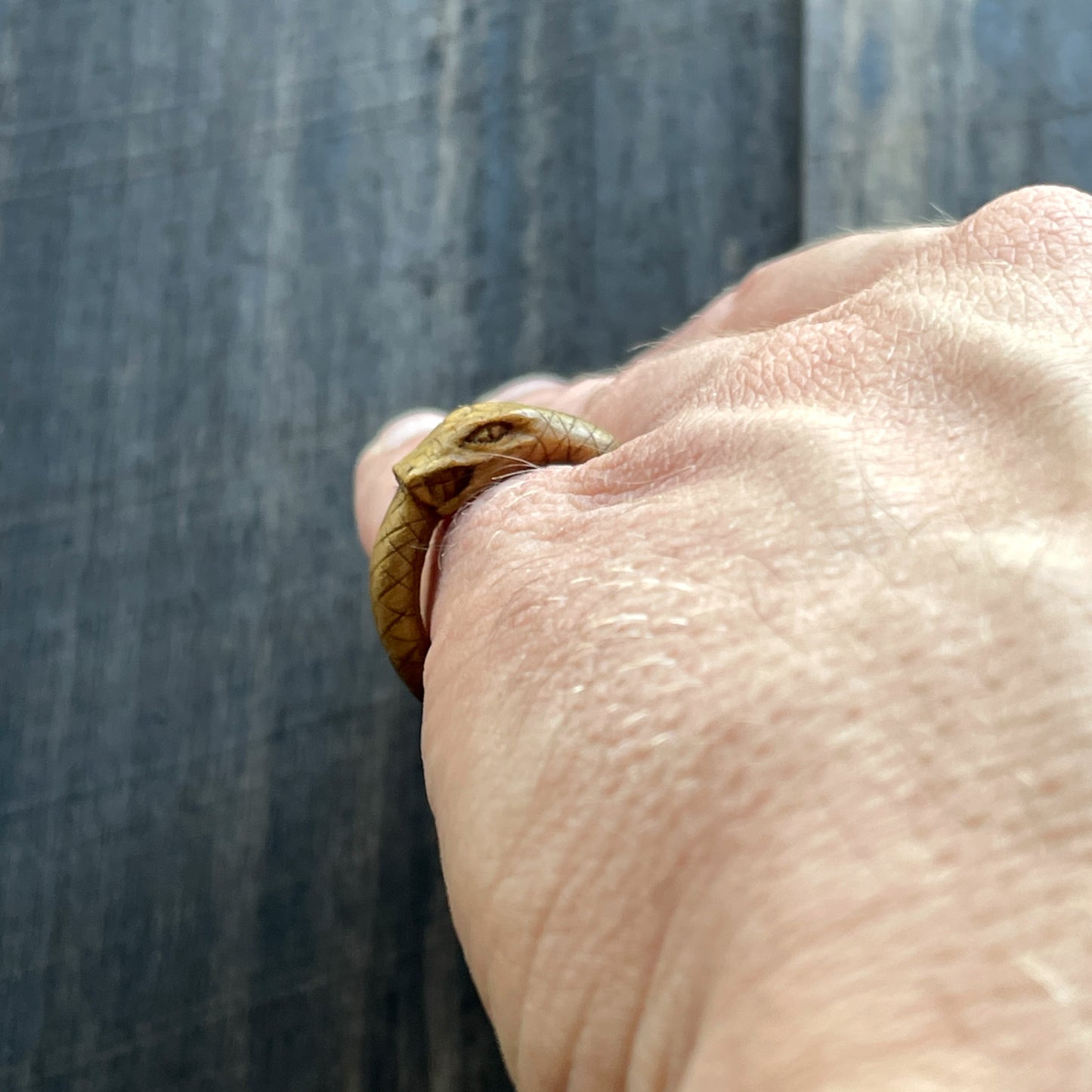 Anello serpente Uroboro