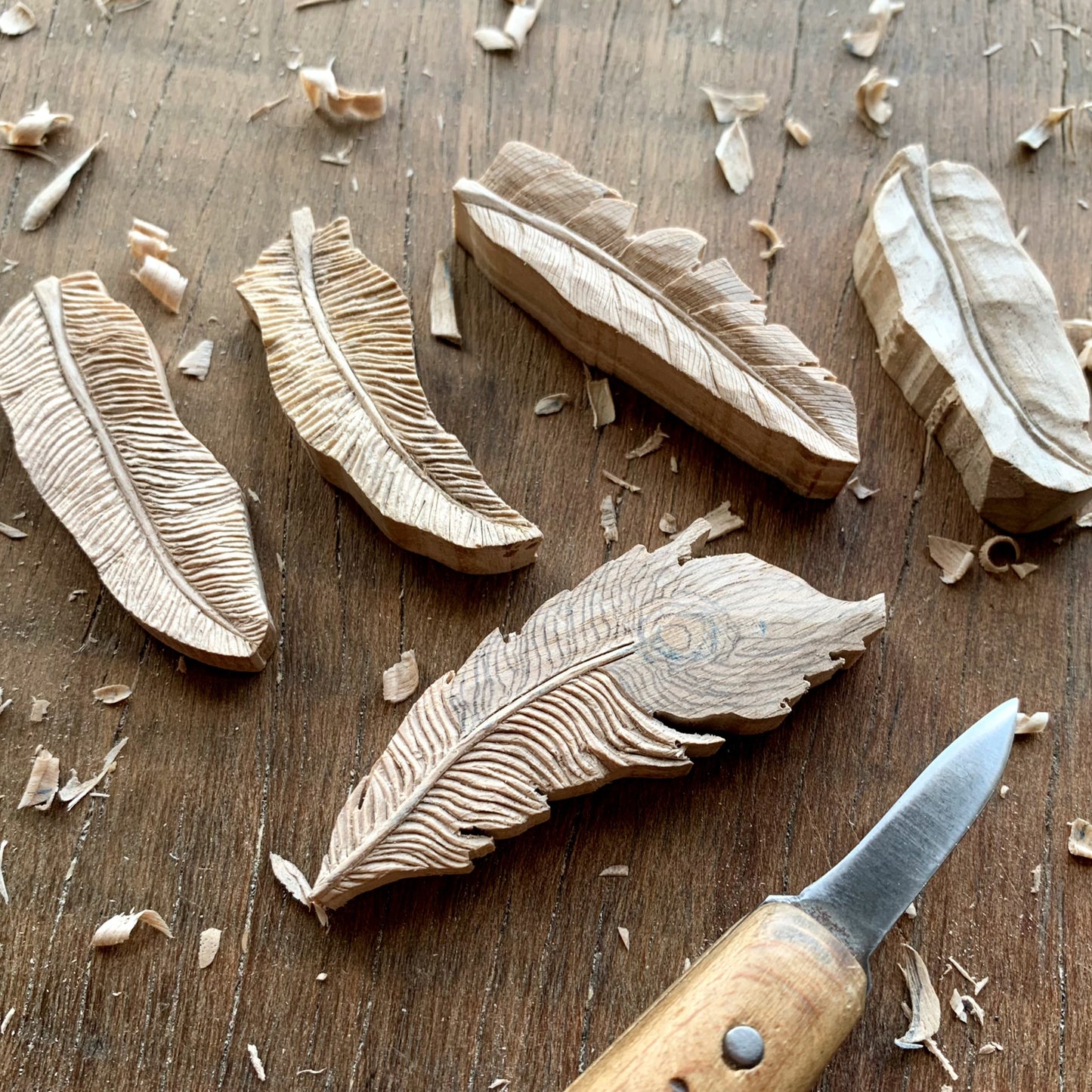 Peacock Feather Walnutood Pendant