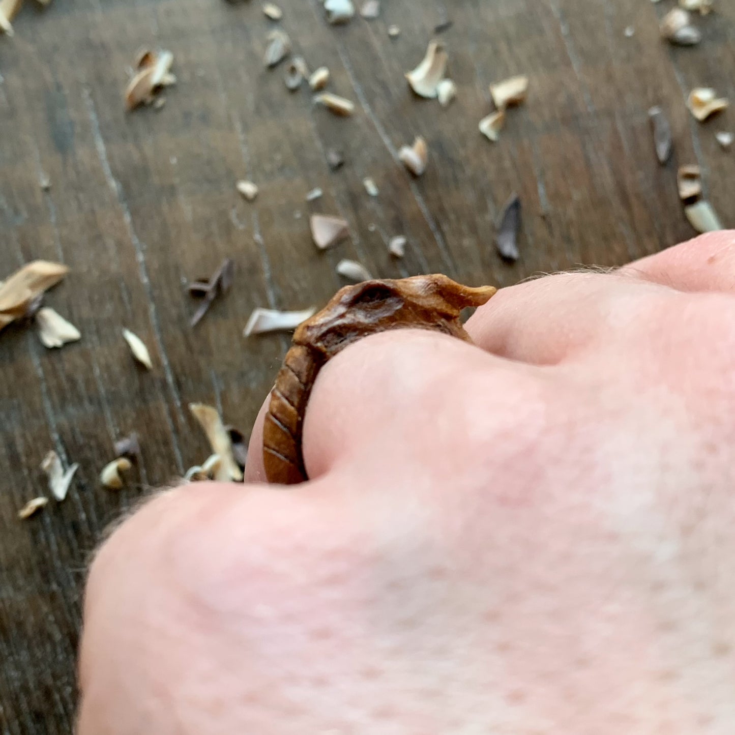 Ouroboros Dragon Ring