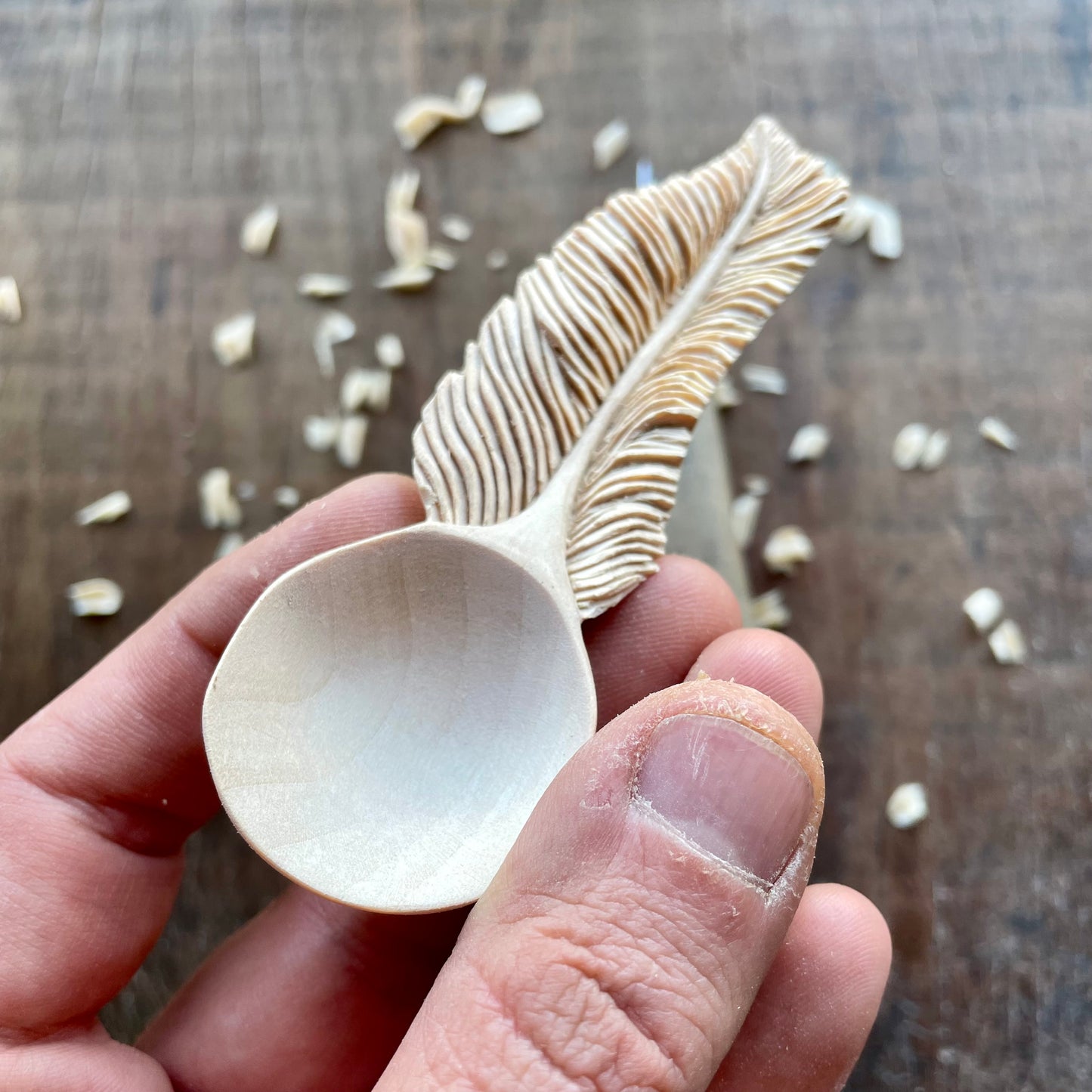 Feather Coffee Spoon