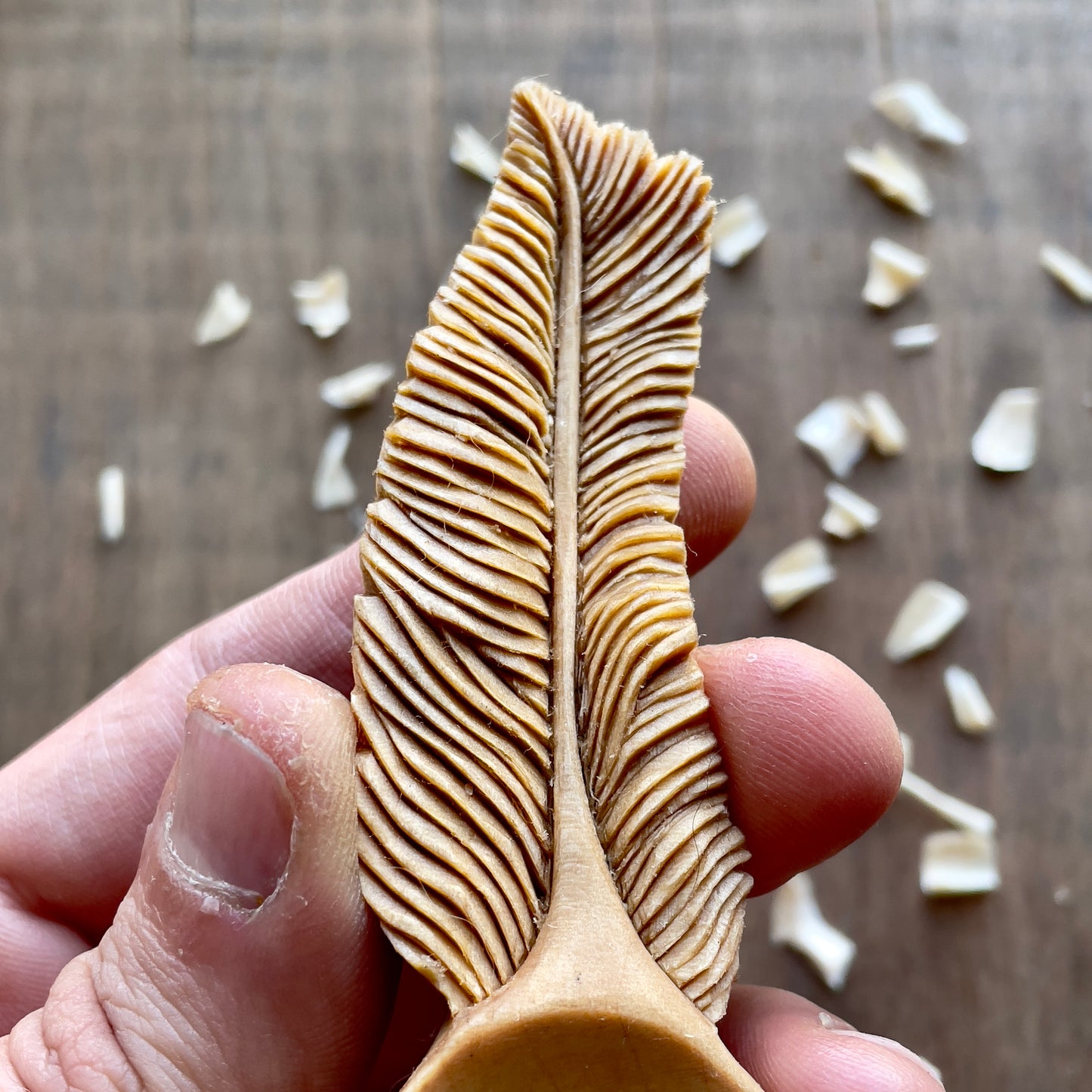 Feather Coffee Spoon