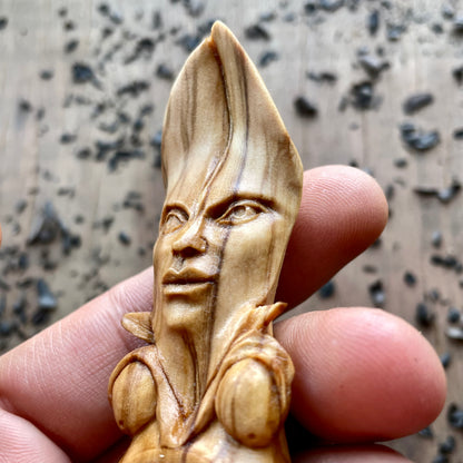 Olive Leaf Spirit Coffee Spoon