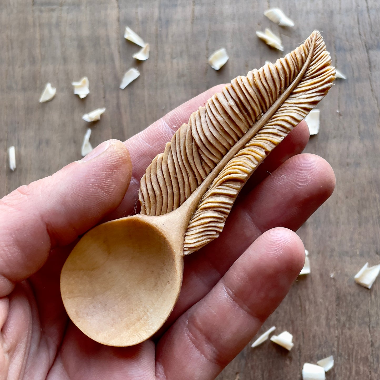 Feather Coffee Spoon
