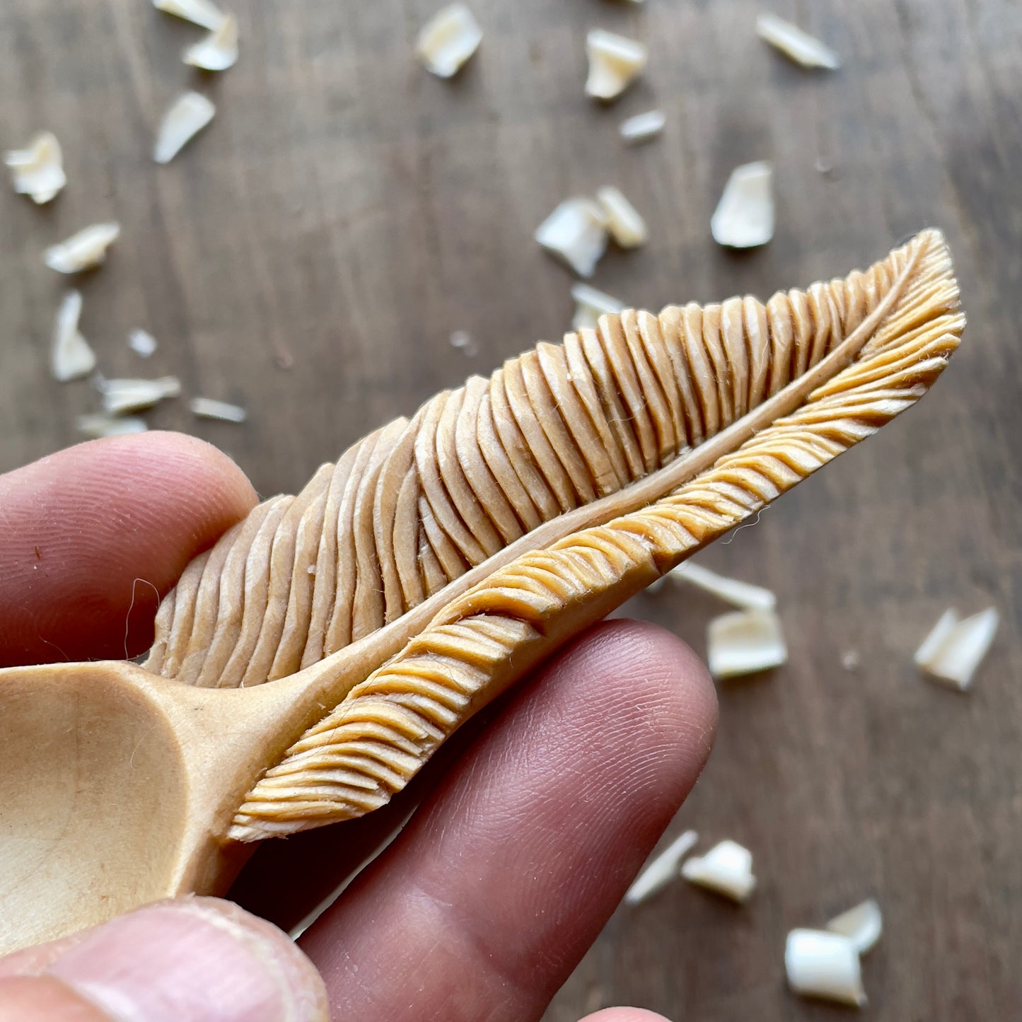 Feather Coffee Spoon