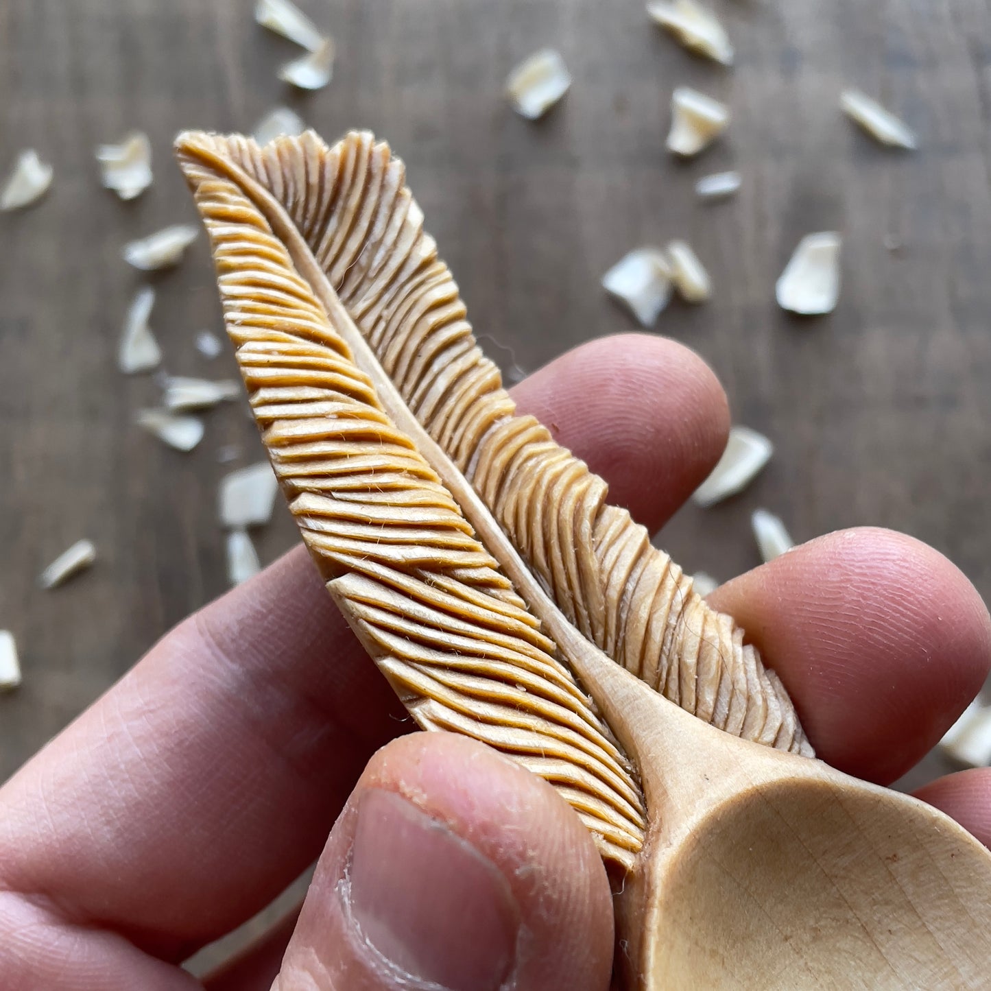 Feather Coffee Spoon