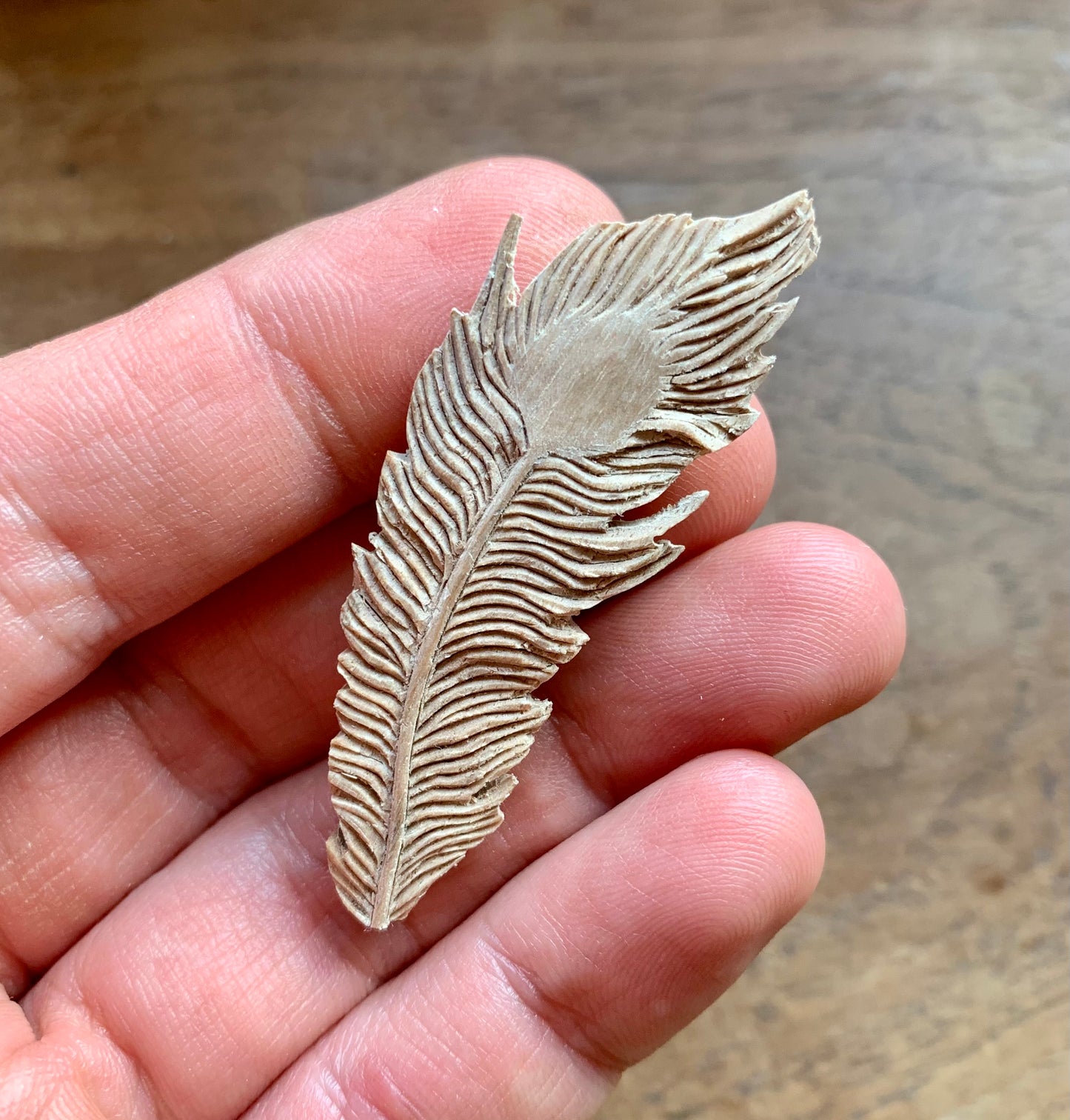 Peacock Feather Walnutood Pendant