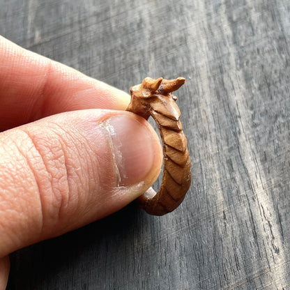Ouroboros Dragon Ring