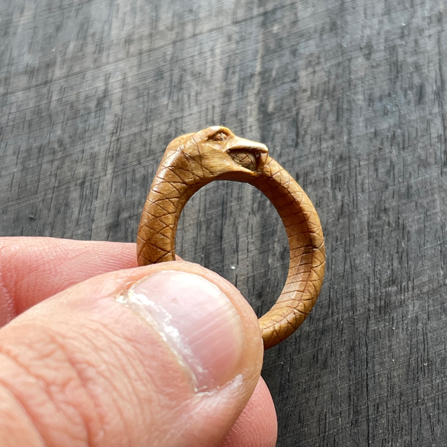 Anello serpente Uroboro