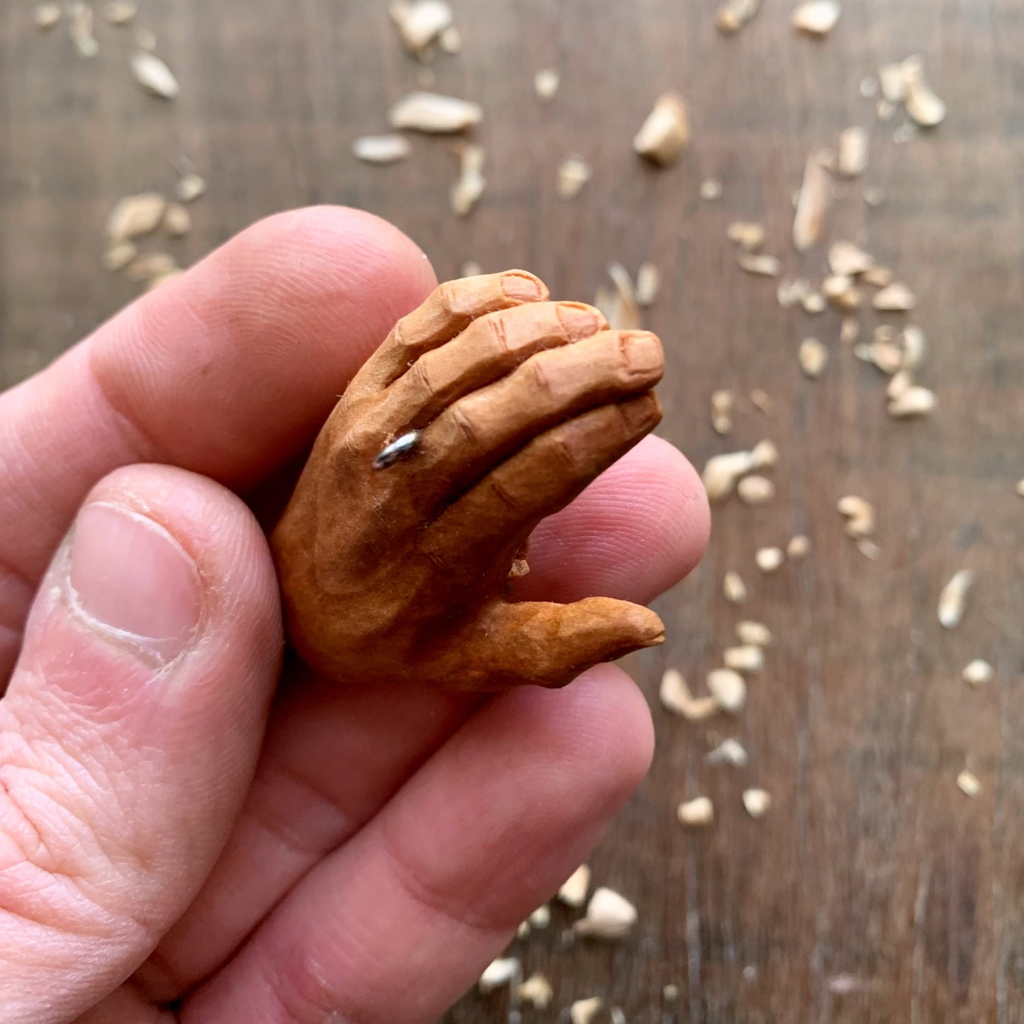 Hand with olive tree branch