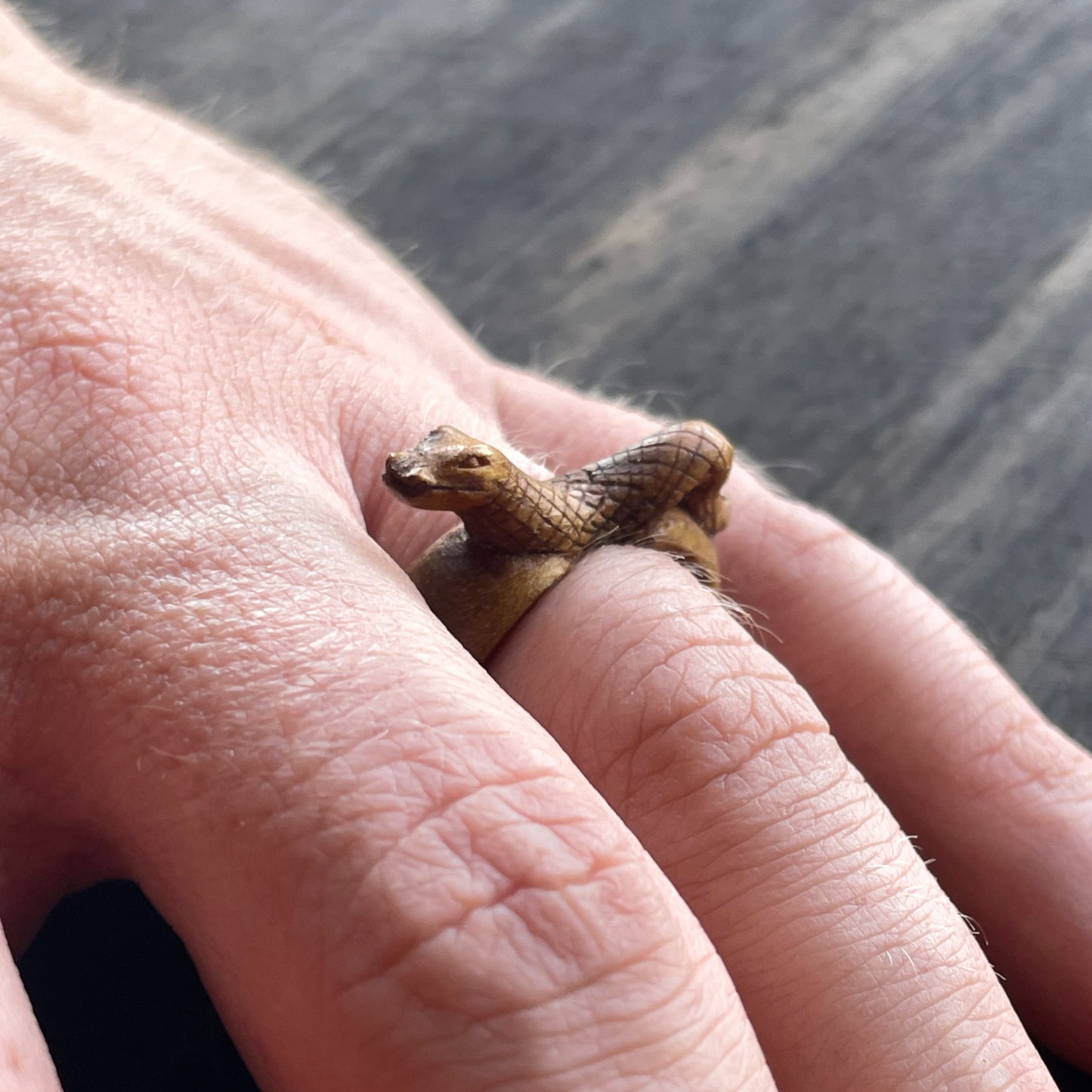 Little Snake Ring