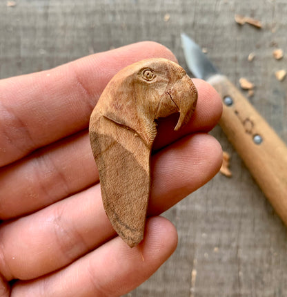 Parrot Head-Feather Pendant