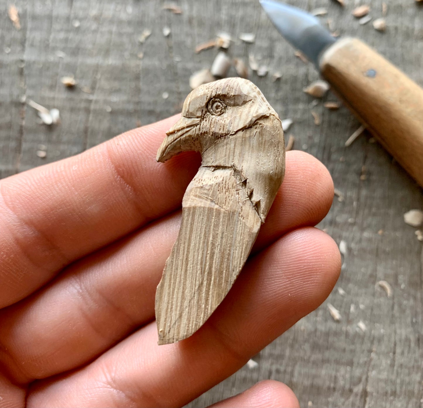 Pigeon Head-Feather Pendant